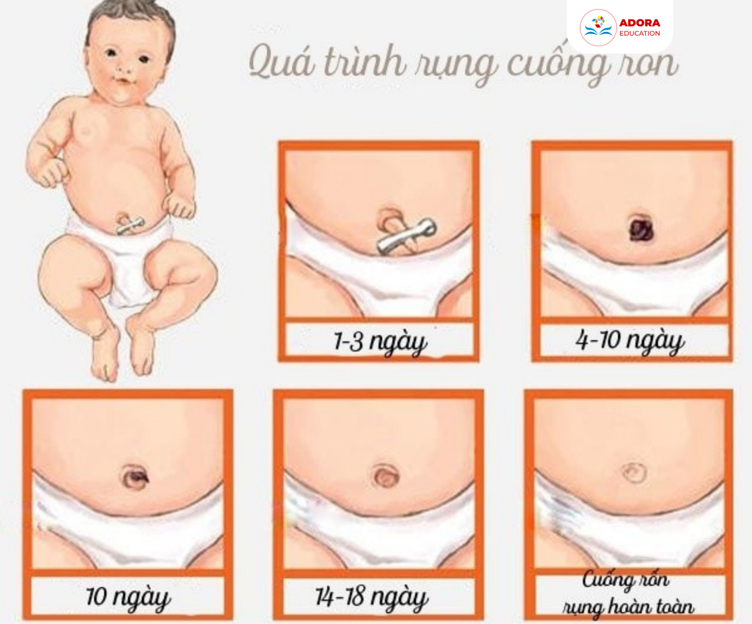 đừng chỉ đếm ngày hãy nhìn hành trình của chiếc rốn nhỏ
