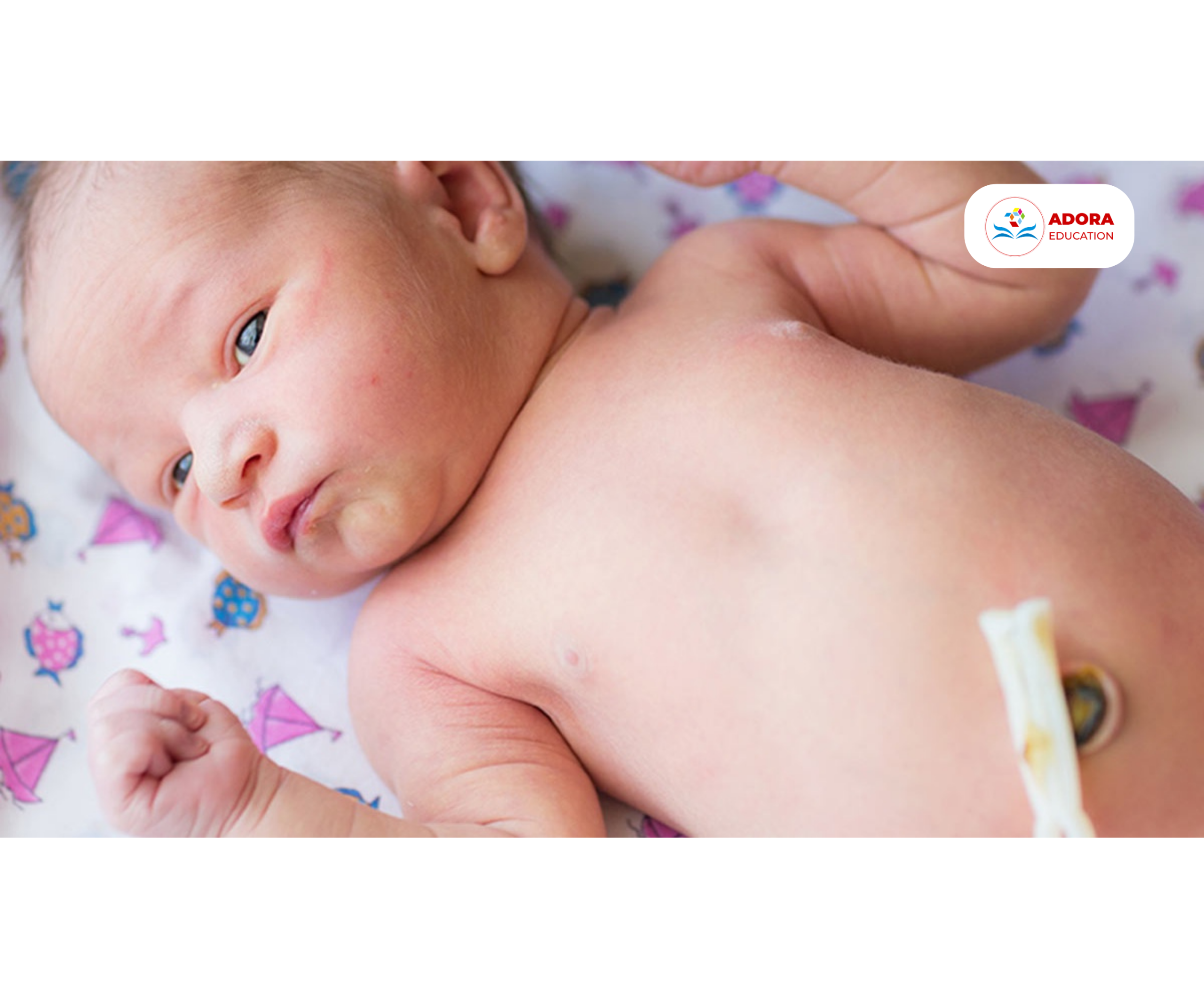 rốn trẻ sơ sinh bao lâu rụng là bình thường